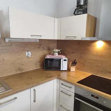 Family Моравске-Топлице