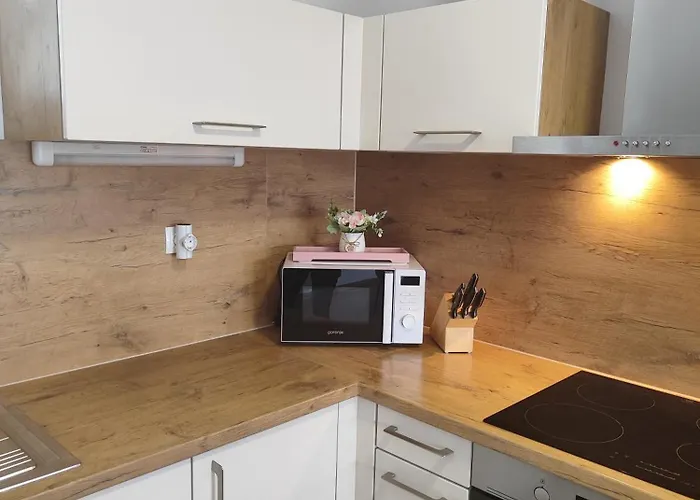 Family Moravske-Toplice